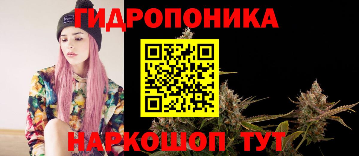 Бошки Шишки Bruce Banner  Вход с VPN  Каннабис конопля  Бошки марихуана AK-47  Чита 